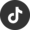 tiktok icon